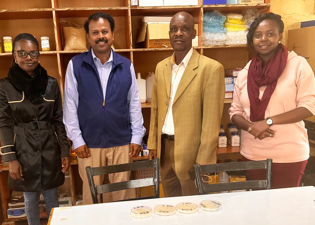 UAPB Extension Project Supports Rice Production in East Africa
